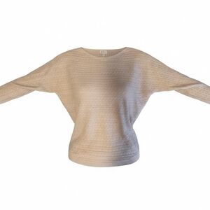 Market & Spruce Beige Batwing Crewneck Sweater